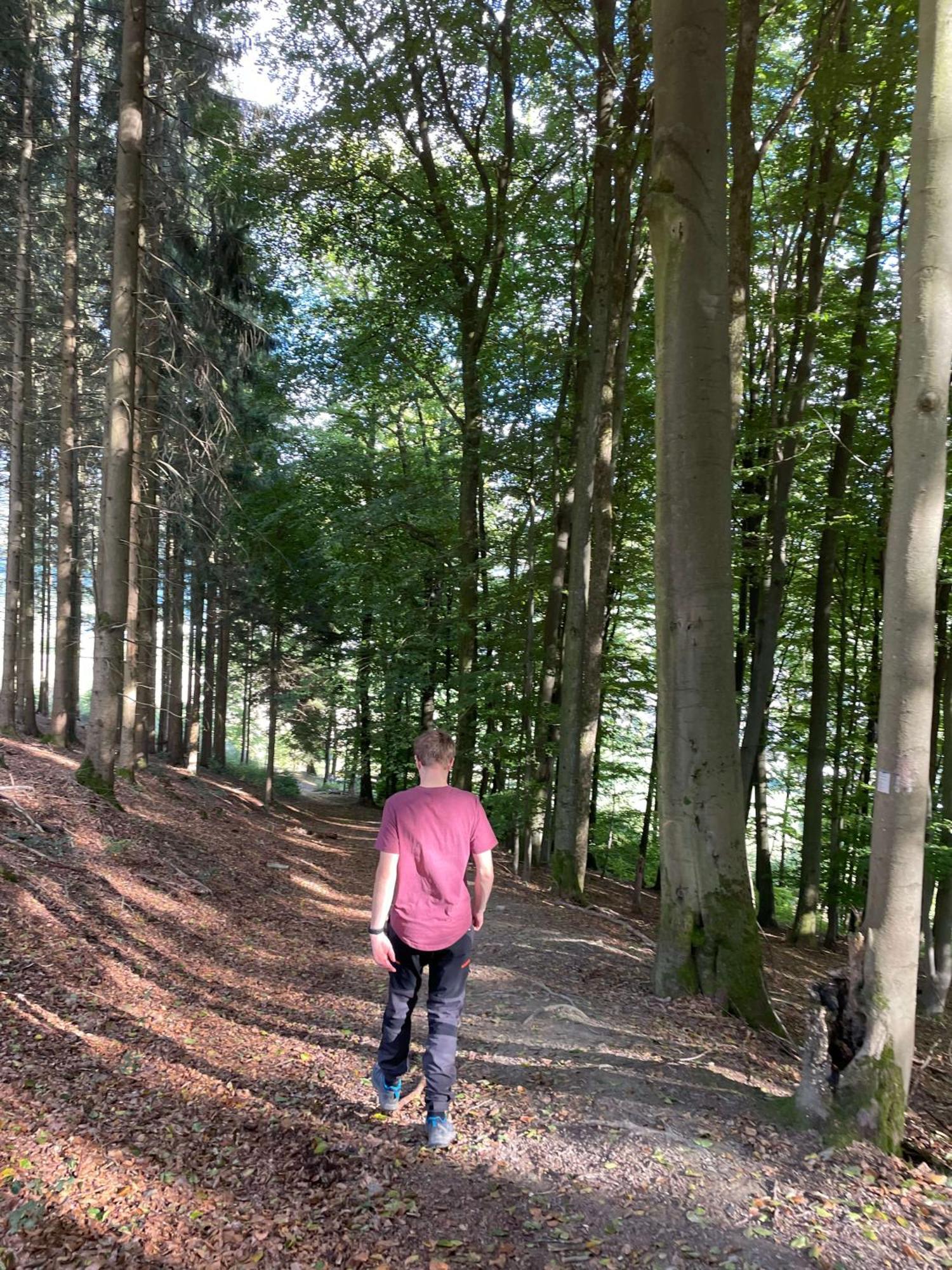 Landgasthof Reinert Reiste エクステリア 写真